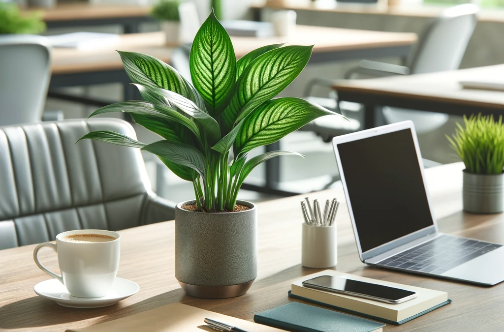 Indoor plants: allies in the office